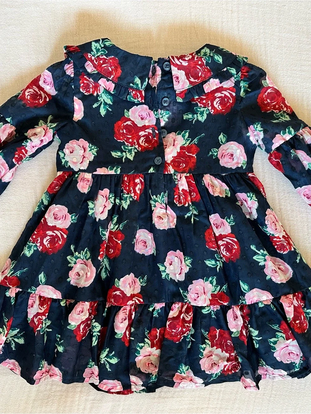 Janie and Jack Navy Floral Ruffle Collar Dress - Pink & Red Roses